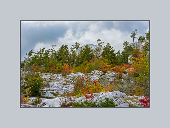 Trail Leading to the Crack Lookout
